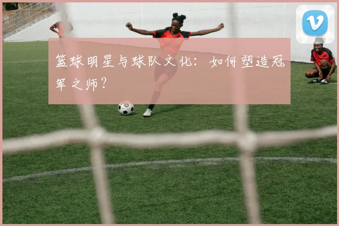 篮球明星与球队文化：如何塑造冠军之师？